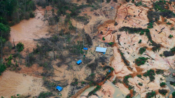 광산개발로 파헤쳐지는 아마존…6년간 축구장 4만개 넓이 파괴