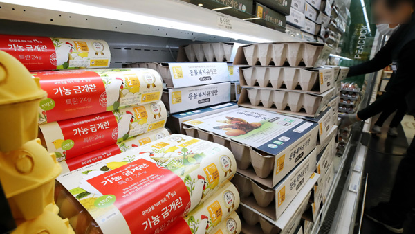 오늘부터 수입 달걀 무관세…대형마트 "판매 안 한다"