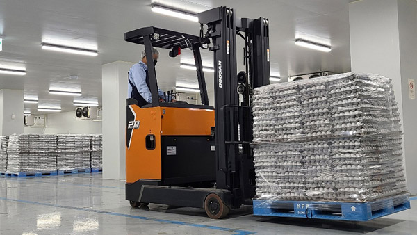 미국산 달걀 19t 추가 유통…실수요업체에 1판당 4천450원 공급