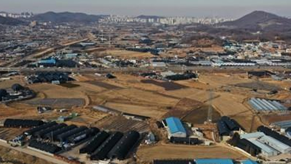 LH 투기 의혹에 국토장관 "청렴은 자존심"…해당직원들 직무배제