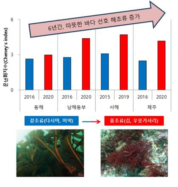 남해 살던 소라가 동해로…한국 바다 아열대로 바뀌나?