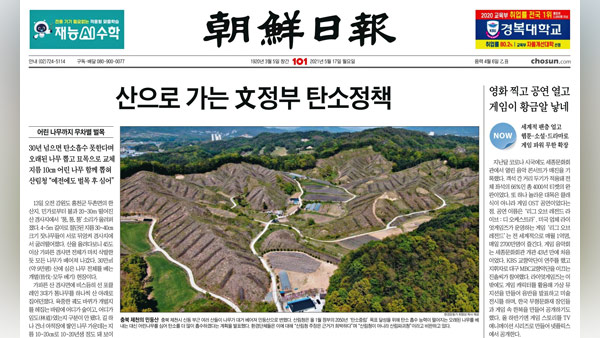 "정부가 무차별 벌목" 조선일보 기사는 사실일까?