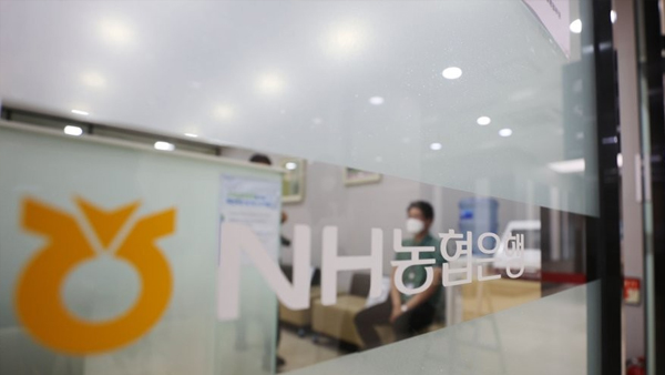 '대출 중단' 진화 나선 금융위…"농협 외엔 적정 공급 계속"