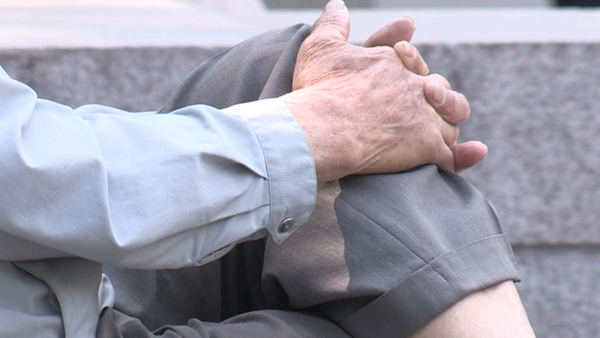 노년층 '생계형' 보험약관대출 13조 돌파