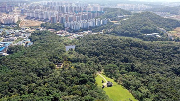 문화재청, '김포 장릉 아파트 철거' 청원에 "심의에 따라 행정조치 취할 것"