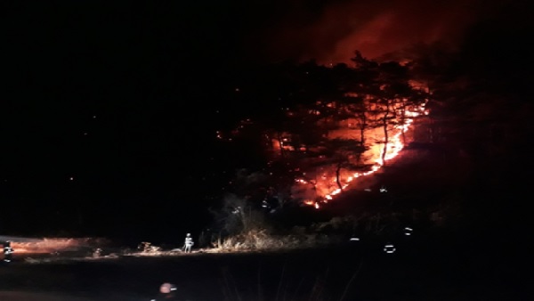 경북 영천에 산불‥0.4헥타르 태우고 2시간만에 진압