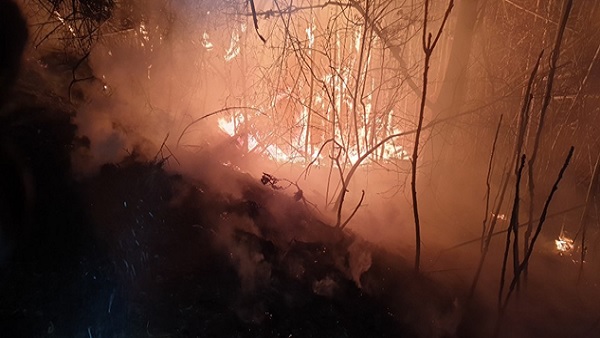 경남 김해시 야산에 불…80대 주민 화상