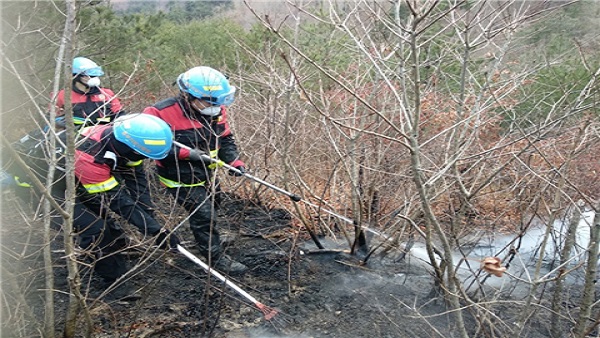 강원 강릉시 야산에서 불…1ha 소실