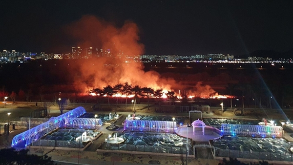 세종시 금강변 갈대밭 화재…지난달 이어 두 번째