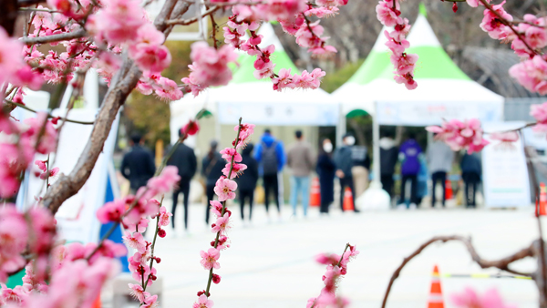 코로나19 신규 확진 470명…이틀 연속 400명대