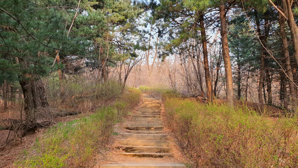 등산로에서 음란행위한 '10대' 붙잡혀