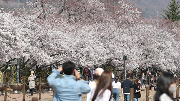 정부 "봄철 축제 개최 가급적 자제해야…전국 유원지 집중점검"