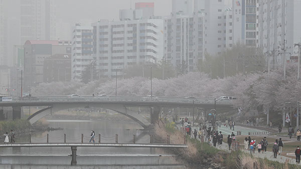 서울, 영남 등 황사경보 해제