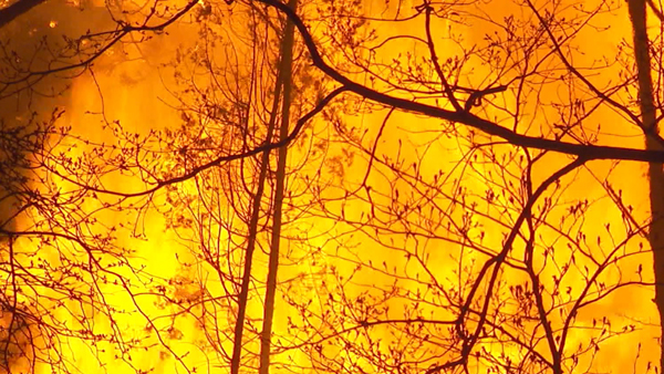 울산 울주군 야산 화재