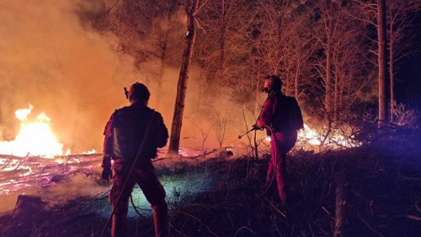 대전 유성구 산불 2시간 여만에 진화…인명피해 없어