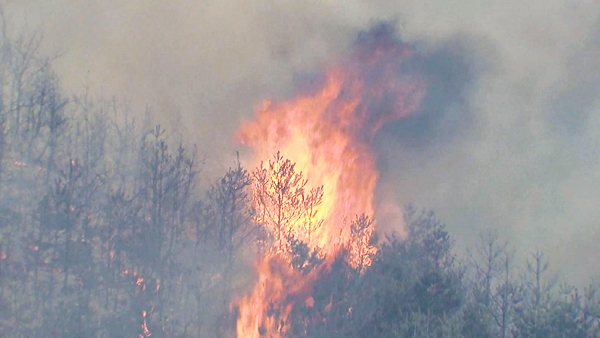 홍성 갈산면 야산서 산불…헬기 2대 투입 진화중