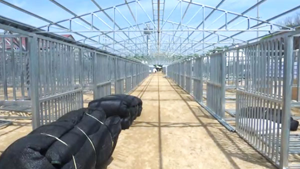 지자체 불허에도 전국 승마대회 강행…"방역수칙 위반 집중 단속"