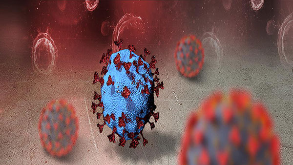 주요 변이 4종 감염자 277명 늘어…총 1천390명