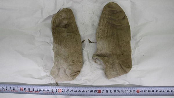 국과수 "故 손정민 양말 토양 성분, 한강 10미터 지점 성분과 유사"