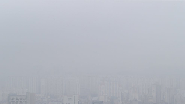 폭우로 울산 우정동 일부 도로 침하 '차량 통제'