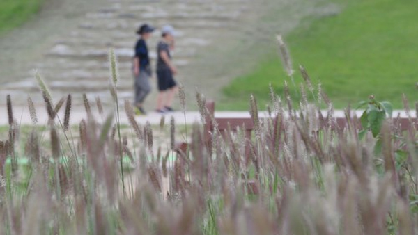 곳곳 가을비‥중부내륙 큰 일교차