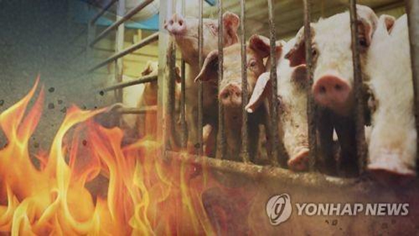 괴산서 돼지 축사에 불‥ 450마리 폐사·2억 6천여만 원 피해