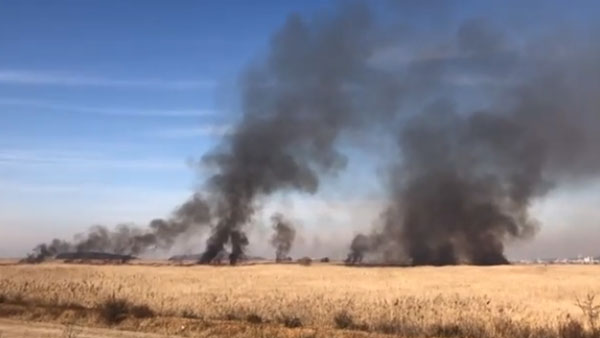 경기 화성 공룡알화석지 내 갈대밭 화재