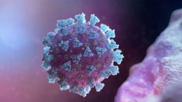 남아공발 변이 바이러스, 미국서 2명 첫 확진