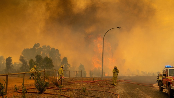 호주 대형산불 확산세…가옥 86채·1만ha 피해