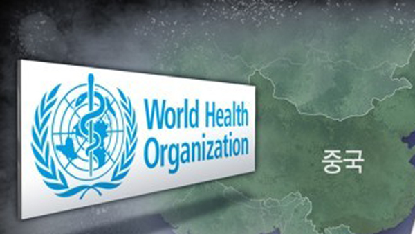 "WHO 코로나 조사팀, 실험실 유출 '개연성 매우 낮다' 결론"