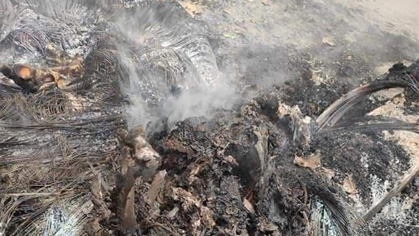 [World Now] 시민 화형시킨 날 호화파티…미얀마 군인들은 왜? 