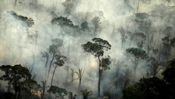 화재로 빠르게 파괴되는 '지구의 허파' 아마존…14년만에 최대