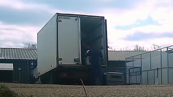 [World Now] 16주된 비글, 마취 없이 독극물 실험…잔혹한 영국 사육농장 