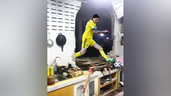 [World Now] "먹을 거 좀 없어?"…벽 뚫고 스타 된 코끼리 