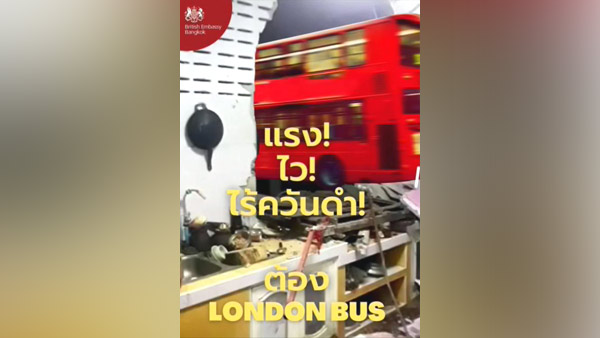 [World Now] "먹을 거 좀 없어?"…벽 뚫고 스타 된 코끼리 