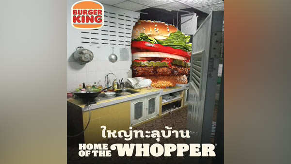 [World Now] "먹을 거 좀 없어?"…벽 뚫고 스타 된 코끼리 