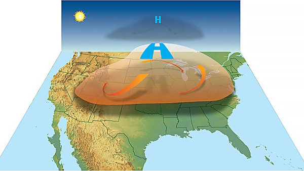 [World Now] '49.5도' 펄펄 끓는 캐나다…전 세계 폭염 '비상' 