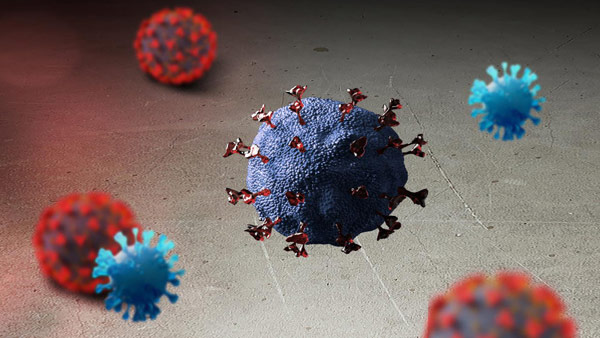 "지난 3월, 벨기에 여성  '알파·베타 변이' 동시 감염 후 사망"