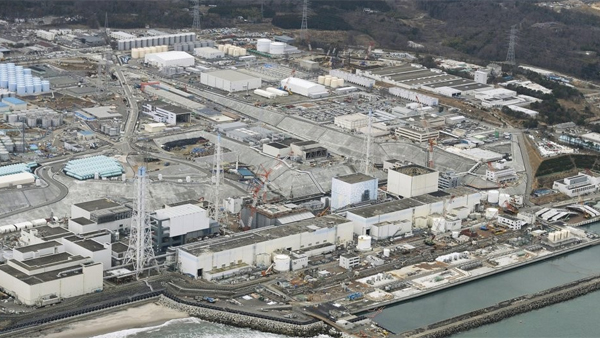 "日후쿠시마 제1원전 인근 생산 벌꿀서 기준치 초과 세슘"