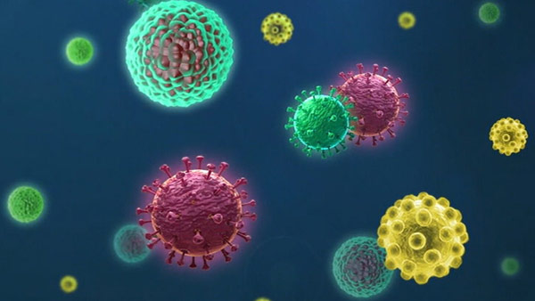 WHO "서아프리카서 치명적인 마버그바이러스 감염 첫 확인"