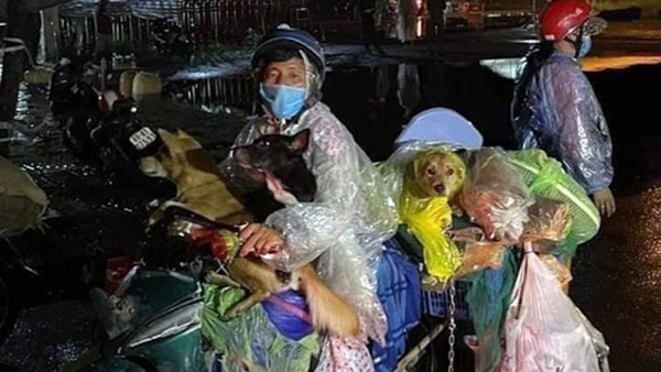 "주인이 코로나 걸린 건데"‥베트남, 반려동물 10여 마리 살처분 논란 