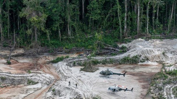 "여의도 422배 면적 사라졌다"‥아마존 파괴 속도 더 빨라져
