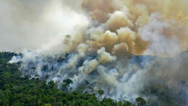 "2030년까지 산림 파괴 중단" 전세계 100개국 선언