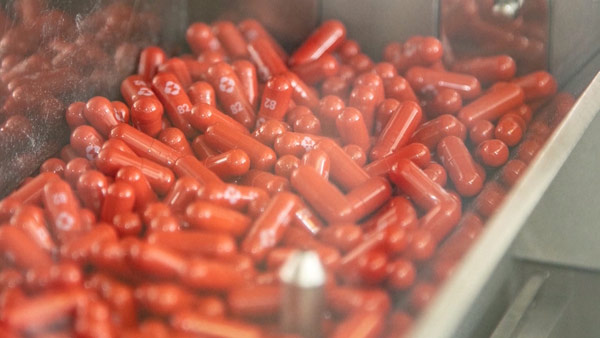 영국, 머크 코로나19 경구용 치료제 세계 첫 승인