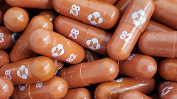 [World Now] 화이자? 머크?‥코로나 '먹는 치료제' 뭐가 더 나을까?