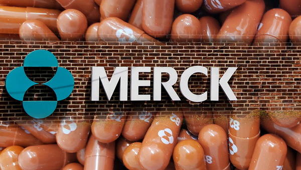 [World Now] 화이자? 머크?‥코로나 '먹는 치료제' 뭐가 더 나을까?