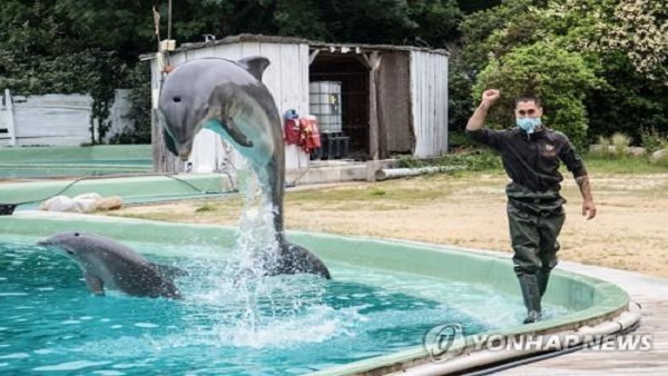 프랑스에서 앞으로 돌고래쇼·서커스 동물 공연 못 본다