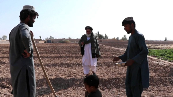 [World Now] 남은 돈줄은 아편‥양귀비 재배 나선 아프간인들