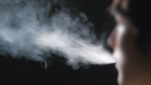 "전자담배 피우면 만성 염증·질병 유발"