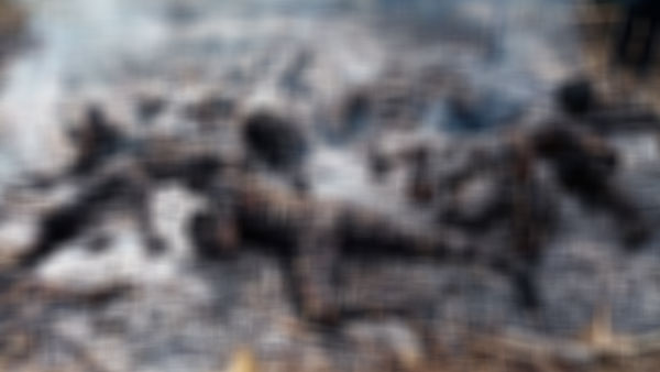 [World Now] "10대 등 11명 산 채로 불태워"‥미얀마 군부 민간인 학살